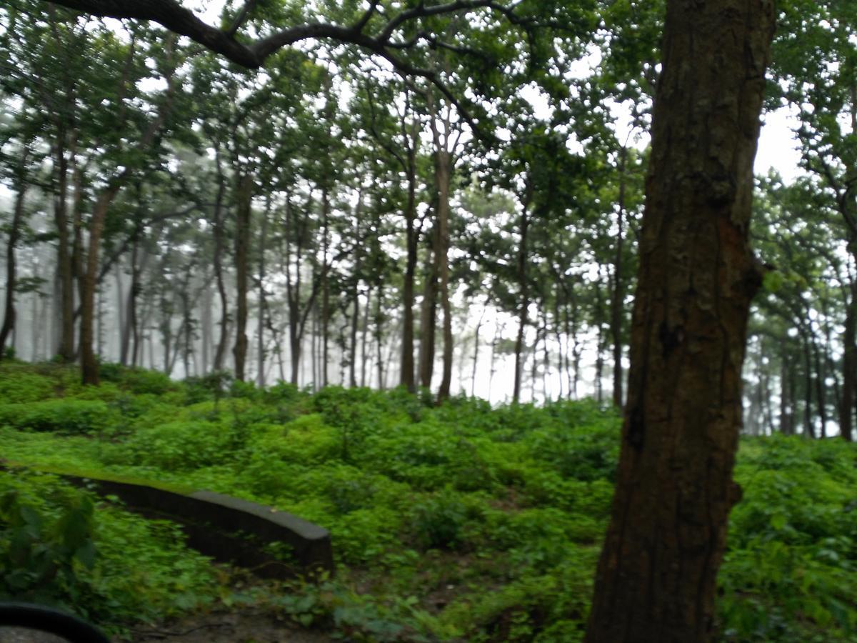 The Residency Amarkantak Exterior photo