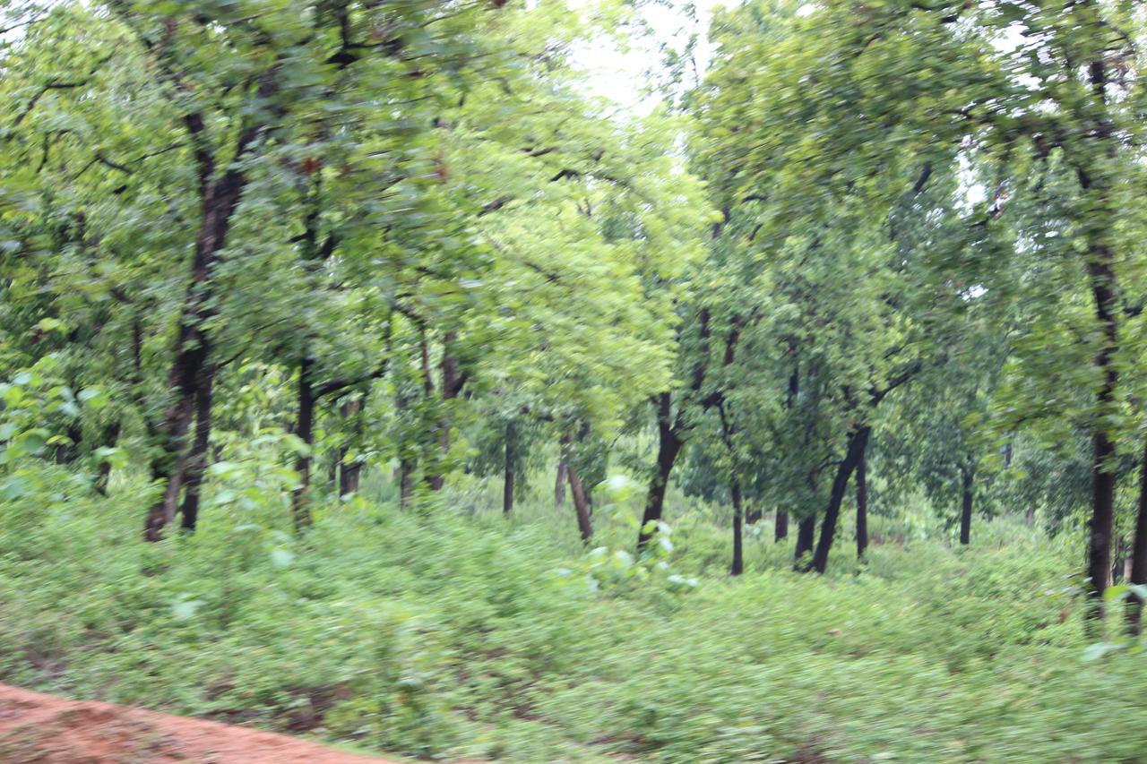 The Residency Amarkantak Exterior photo